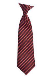 BOYS STRIPED-TIE-12 COLORS-SIZE 2-4