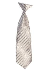 BOYS STRIPED-TIE-12 COLORS-SIZE 2-4