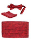 CM-93P-MEN'S ADJUSTABLE PAISLEY CUMMERBUND SET
