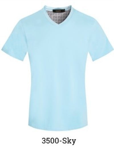 GIA-V-NECK-PACK-A-15 COLORS-SIZE S-XL