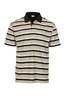 PS-946-Men's Striped Polo Shirt