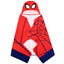 SPIDER-MAN Kid's Hooded Towel Pack of 3