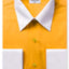 Men's two-tone dress shirts